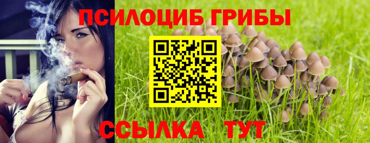 Галлюциногенные грибы Magic Shrooms  Вход с VPN  Черкесск 